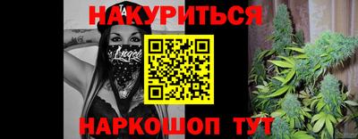 мдпв Гатчина
