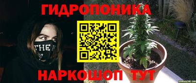 прущая мука Волгодонск