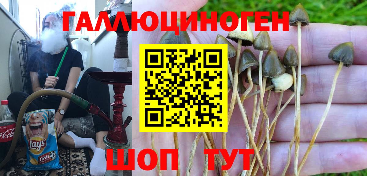 Псилоцибиновые грибы ЛСД Кумертау